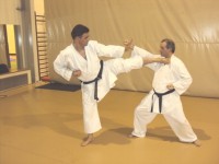 Módulo 10 Módulos Opcionais – Desportos de Combate